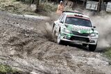 KM2017009243