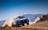 RO19 WRC06 POR1599